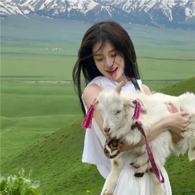 亨利和他的六个老婆 海报